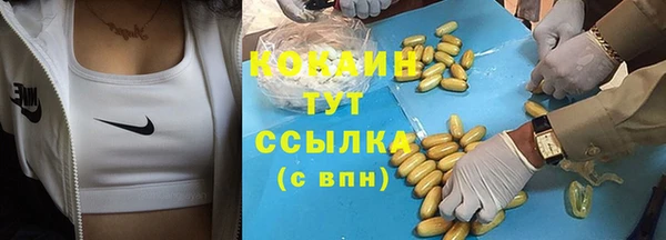 Альфа ПВП Верея