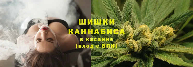 купить наркотик  Ардатов  Бошки Шишки LSD WEED 